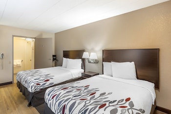 Standard Room, 2 Double Beds, Accessible (Smoke Free)