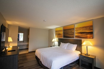 Room, 1 King Bed, Non Smoking