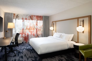 Room, 1 King Bed