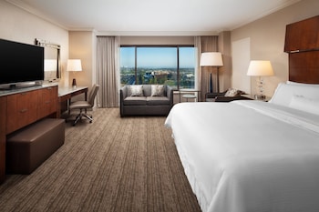 Traditional Room, 1 King Bed, Smoking (Mobility Accessible, Tub)