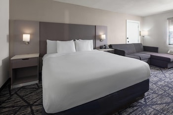 Room, 1 King Bed, Accessible (Various Views)