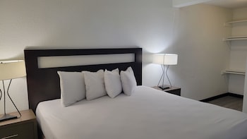 Suite, 1 Bedroom