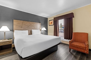 Room, 1 King Bed, Non Smoking