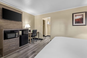 Room, 1 King Bed, Non Smoking
