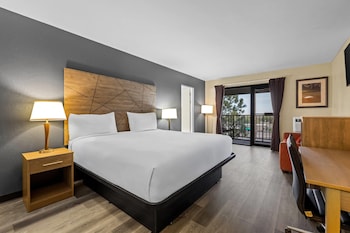 Junior Suite, 1 King Bed, Non Smoking
