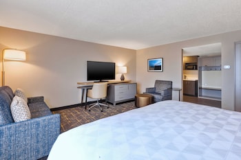 Premium Room, 1 King Bed