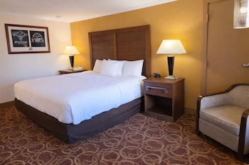 Room, 1 King Bed, Non Smoking