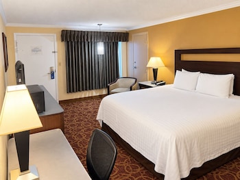 Room, 1 King Bed, Non Smoking