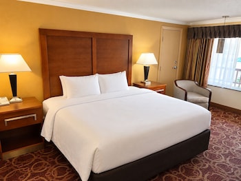 Room, 1 King Bed, Non Smoking