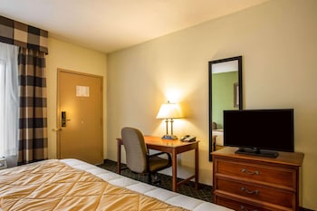 Room, 1 King Bed, Accessible, Non Smoking