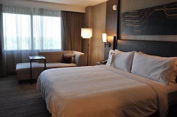 Room, 1 King Bed