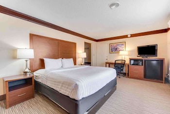 Standard Room, 1 King Bed, Non Smoking, Refrigerator & Microwave (Movie View from the Bed)