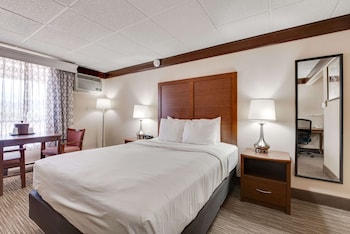 Standard Room, 1 Queen Bed, Non Smoking, Refrigerator & Microwave (Pet Friendly)