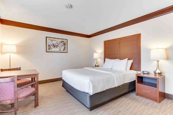 Standard Room, 1 Queen Bed, Non Smoking, Refrigerator & Microwave (Movie View from the Bed)