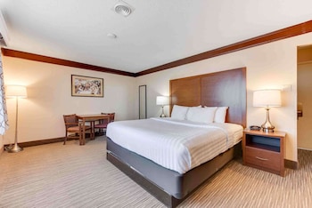 Standard Room, 1 King Bed, Non Smoking, Refrigerator & Microwave (Movie View from the Bed)