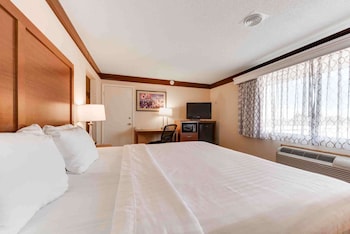 Standard Room, 1 King Bed, Non Smoking, Refrigerator & Microwave (Movie View from the Bed)
