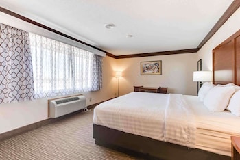 Standard Room, 1 King Bed, Non Smoking, Refrigerator & Microwave (Movie View from the Bed)