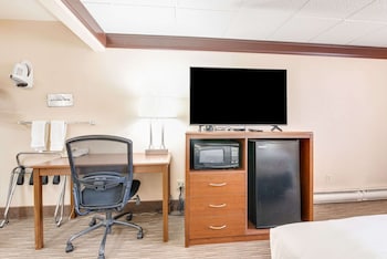 Standard Room, 1 Queen Bed, Non Smoking, Refrigerator & Microwave (Pet Friendly)
