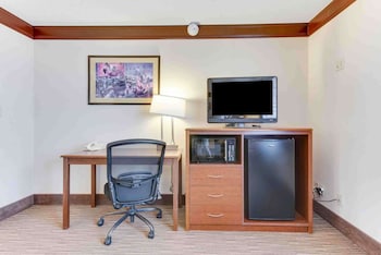 Standard Room, 1 King Bed, Non Smoking, Refrigerator & Microwave (Movie View from the Bed)