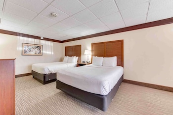 Standard Room, 2 Queen Beds, Non Smoking, Refrigerator & Microwave (Pet Friendly)