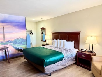 Single Room, Garden View