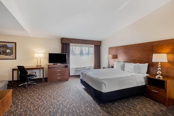 Deluxe Room, 1 King Bed, Non Smoking (Executive)