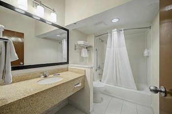 Room, 1 King Bed