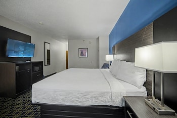 Room, 1 King Bed