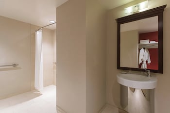 Executive Suite, 1 King Bed with Sofa bed