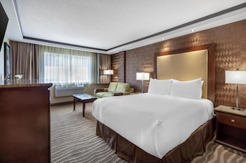 Standard Room, 1 Queen Bed, Accessible, Non Smoking (with Sofabed)