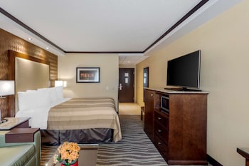 Standard Room, 1 Queen Bed, Accessible, Non Smoking (with Sofabed)