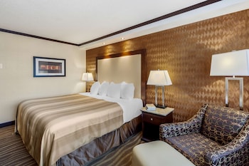 Standard Room, 1 Queen Bed, Accessible, Non Smoking (with Sofabed)