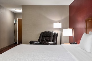 Room, 1 King Bed, Non Smoking