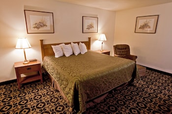 Room, 1 King Bed, Smoking