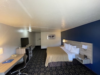 Room, 1 King Bed, Smoking