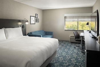 Room, 1 King Bed with Sofa bed