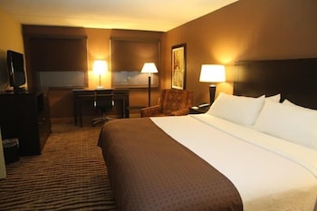 Suite, 1 King Bed