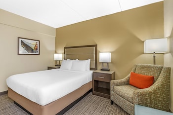 Standard Room, 1 Queen Bed, Non Smoking, Refrigerator & Microwave