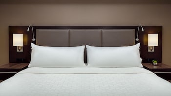 Suite, 1 Bedroom (1 King Bed)