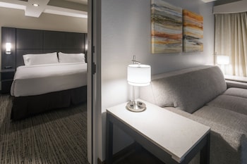 Suite, 1 Bedroom (Boardroom)