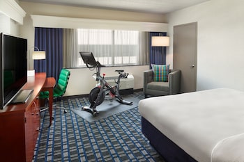 Room, 1 King Bed