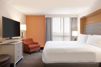 Suite, 1 King Bed