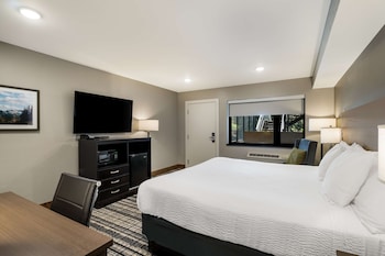 Junior Suite, 1 King Bed, Non Smoking (Larger Room)
