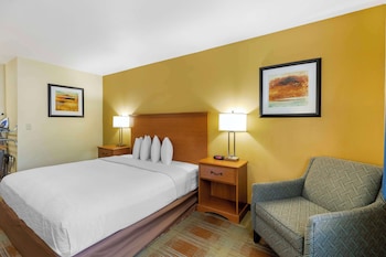 Standard Room, 1 King Bed, Accessible, Non Smoking