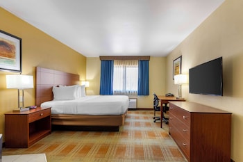 Standard Room, 1 King Bed, Non Smoking, Refrigerator & Microwave, Poolside