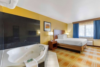 Standard Room, 1 King Bed, Non Smoking, Jetted Tub