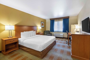 Standard Room, 1 King Bed, Accessible, Non Smoking