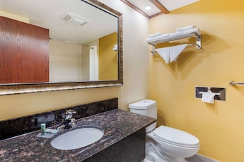 Standard Room, 1 King Bed, Non Smoking, Refrigerator & Microwave, Poolside