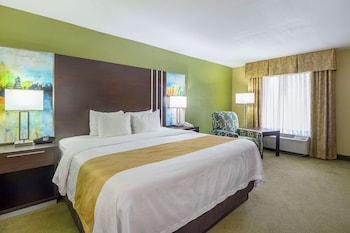 Room, 1 King Bed, Non Smoking (Upgrade)