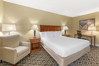 Standard Room, 1 King Bed, Non Smoking, Refrigerator & Microwave